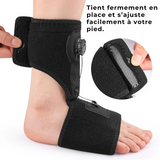 Alignéa | Öine tugiside kanna kannuse jaoks